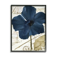 Stupell Industries merész kék virágszirmok szüreti pillangó forgatókönyv grafikus művészet fekete keretes művészet nyomtatott