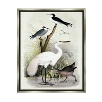Stupell Industries Változatos daru madarak összegyűjtötték a Riverbank Stream Botanicals festményt fényes szürke úszó keretes