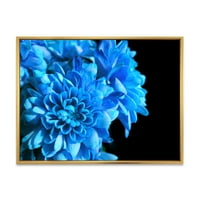 Designart 'A kék virágok részlete a fekete háttéren.' Hagyományos keretes vászon fali művészet nyomtatás