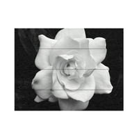 Kurt Shaffer védjegye Képzőművészet „Gardenia fekete -fehér” fa fali művészete