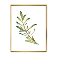 Designart 'Leaf Rosemary ág a fehér' Hagyományos keretes vászon fali művészet nyomtatás