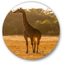 Designart 'afrikai zsiráf a vadon élő állatokban.