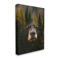 Stupell Industries absztrakt fekete medve vadon fenyves erdő Modern fotózás, 20, Denise Brown tervezése