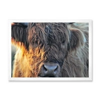 Designart 'A skót tehén bezárása a Moorland III -n' 'Farmhouse keretes művészeti nyomtatás