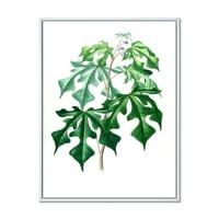 Designart 'ókori zöld levelek növények ii' hagyományos keretes vászon fali művészet