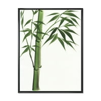 Designart 'A sötétzöld bambusz részletei a fehér III -on' hagyományos keretes vászon fali művészet nyomtatás