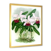 Designart 'White Vintage Orchide Flower i' Hagyományos keretes művészeti nyomtatás
