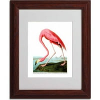 Védjegy képzőművészet Amerikai flamingó vászon művészet John James Audubon, fa keret