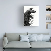 PHBurchett' Fekete-fehér ló portré II ' vászon művészet