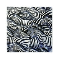 Stupell Industries zsúfolt zebra csorda fekete csíkok állatok festmény grafikus galéria csomagolt vászon nyomtatott fali művészet,