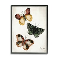 Stupell Industries pillangók triója parasztház mintás szárnyak bájos rovarok, 30, Jackie Quigley tervezte