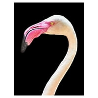 Mestermű Művészeti Galéria Flamingó Portré Mathew Schwartz Vászon Művészeti Nyomtatás 18 24