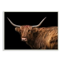Shaggy Farm szarvasmarha -barna vidéki állatok keretes fotózás művészeti nyomatok