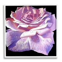 Stupell Industries buja rózsaszín rózsaszirom virág vízcseppek festés fehér keretes Művészeti nyomtatás Wall Art, Design Alan
