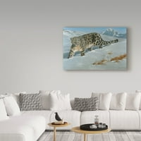 Védjegy képzőművészet 'Snow Leopard Landscape' vászon művészet Harro Maass