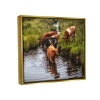 Stupell Industries vidéki szarvasmarhák, élvezve a patak vizet a gyepek között Fémes arany úszó keretes vászon nyomtatott fali