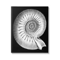 Stupell Industries Spiral Sea Life Beach Shell Modern Fractal Graphic Galéria Csomagolt vászon nyomtatott fali művészet, Design