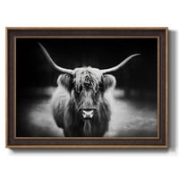 Fotózás tanulmány Highland szarvasmarha-prémium keretes vászon- készen áll a lógásra