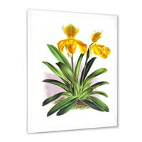 Designart 'Sárga Vintage Orchidea' hagyományos keretes művészeti nyomtatás