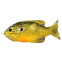LiveTarget Csalik Sunfish Üreges Test