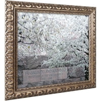 Védjegy Szépművészet Cherry Blossoms 2014-4 Cateyes vászonművészete, arany díszes keret