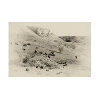 Gordon Semmens 'Badlands Antik 08' Vászon Művészet