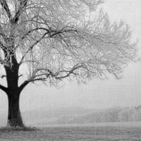 Remekmű művészeti galéria téli fa nyugalom: ilona wellmann vászon fotóművészeti nyomtatás 30 40