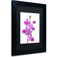Kurt Shaffer, Black Matte, Fekete Matte, Black Matte, fekete keret védjegye lila orchideák vászon művészete