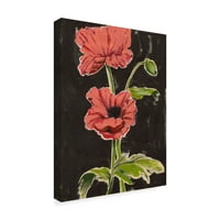 Védjegy Képzőművészet 'Haloed Poppies I' Canvas Art by Grace Popp