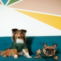 Coco + lázadó háziállat, zöld villám atlétikai kutya póló
