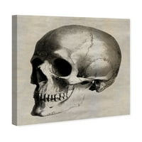 Wynwood Studio szimbólumok és tárgyak fali art vászon nyomatok 'koponya oldal' koponya - barna, fekete