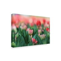 Védjegy képzőművészet 'rózsaszín tulipánok' vászon művészet Incredi