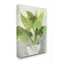 Stupell Industries zöld nagy növényi fehér ültetvényes beltéri otthoni festmény vászon fali művészet, Albena Hristova, 30 40