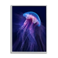 Stupell Industries élénk lila medúza úszás óceán tengeri élet keretes fali művészet, 14, Steve Hunziker tervezése