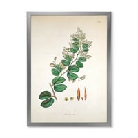 Designart 'ősi botanikumok xiii' parasztház keretes művészeti nyomtatás