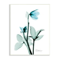 Stupell Industries Blue Wildflower Study áttetsző növényfotózás, 15, Design, Albert Koetsier