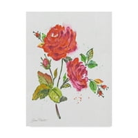 Védjegy képzőművészet 'Akvarell virágok 8' vászon művészet Jean Plout
