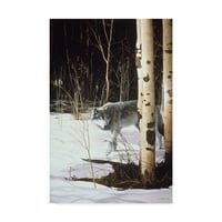 Védjegy Szépművészet 'Grey Wolf Aspen' vászon művészete, Ron Parker