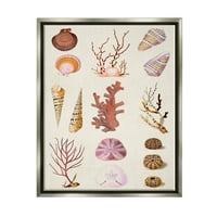 Stupell Industries vegyes tengeri élet korallok kagylók grafikus művészet csillogás szürke úszó keretes vászon nyomtatott fali