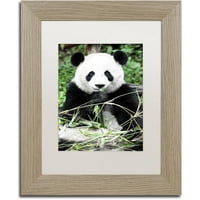 Védjegy Szépművészet Óriás Panda Canvas Art készítette: Philippe Hugonnard, White Matte, Birch Frame