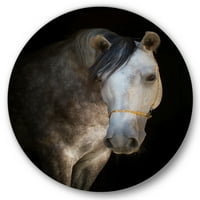 DesignArt 'A fehér ló közelről szóló portréja' parasztház körfém fali művészet - 23 -as lemez