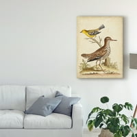 Védjegy Szépművészet 'Antik Bird Menagerie I' Canvas Art készítette: George Edwards