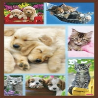 Keith Kimberlin-kiskutyák és cicák kollázs fali poszter, 22.375 34