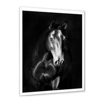 DesignArt 'Black Kladruby Horse CARMAD PORTRITE' Farmhouse keretes művészeti nyomtatás