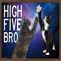 Keith Kimberlin-kiscicák-magas öt tesó az űrben fal poszter, 14.725 22.375