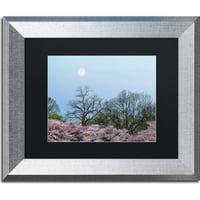 Védjegy Képzőművészet Spring Moon 2 Cateyes művészete, fekete matt, ezüst keret