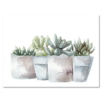 Zamatos és kaktusz ház növények III festmény vászon művészeti nyomtatás