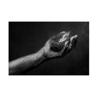 Stephen Clough' Fészek A Kézben ' Vászon Művészet