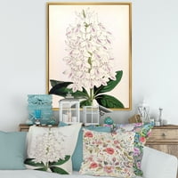 Designart 'ókori fehér orchidea iii' hagyományos keretes vászon fali művészet