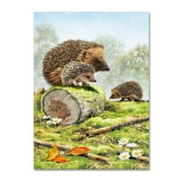 Védjegy képzőművészet 'Hedgehog Family 2' vászon művészet a Macneil stúdióban